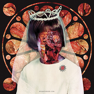 Digital Meat Collage by Howard Forbes, Album Cover Artwork for FIRE IN THE HEAD